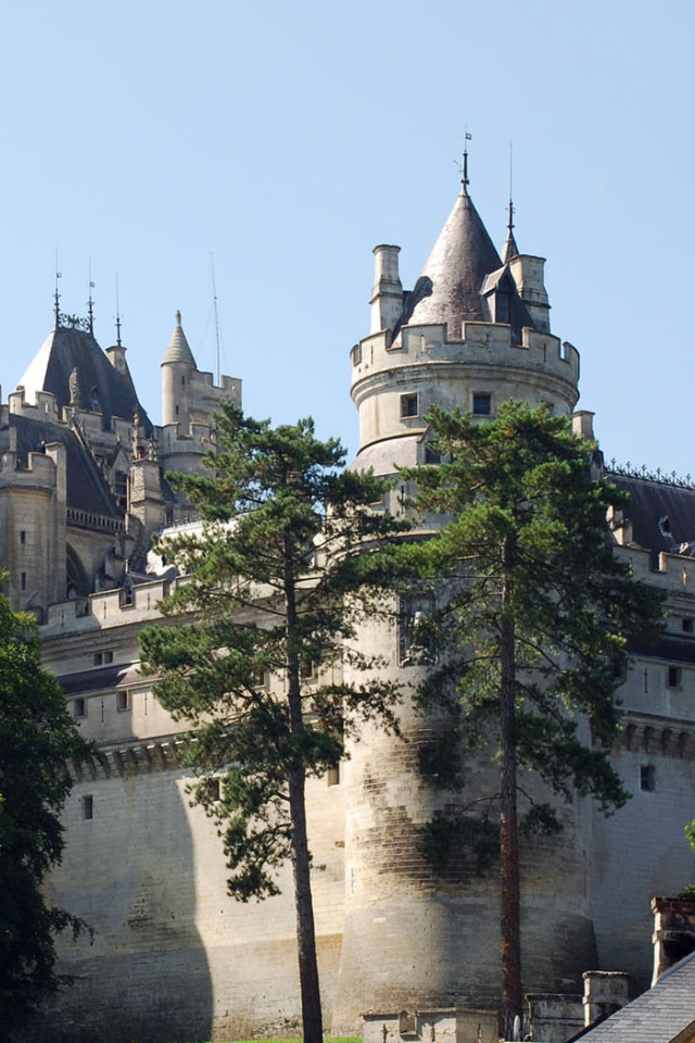 Большой замок во Франции