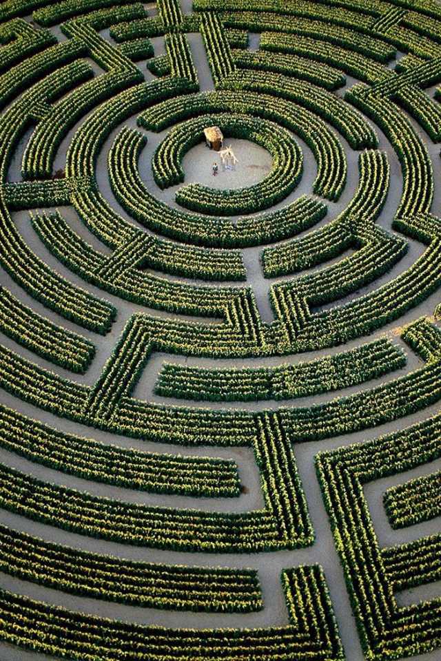 Сад лабиринт