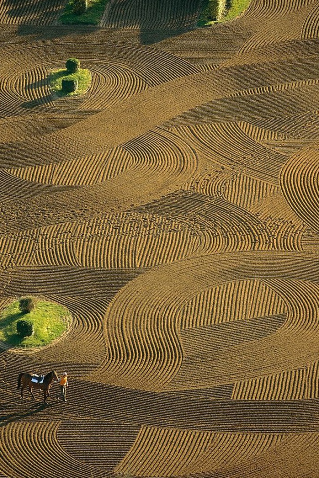 Лошадиная арена Франция
