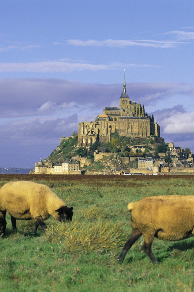 Огромный французский замок