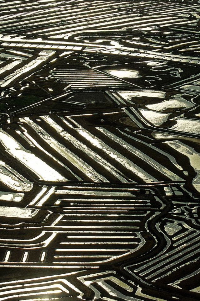 Устричные фермы