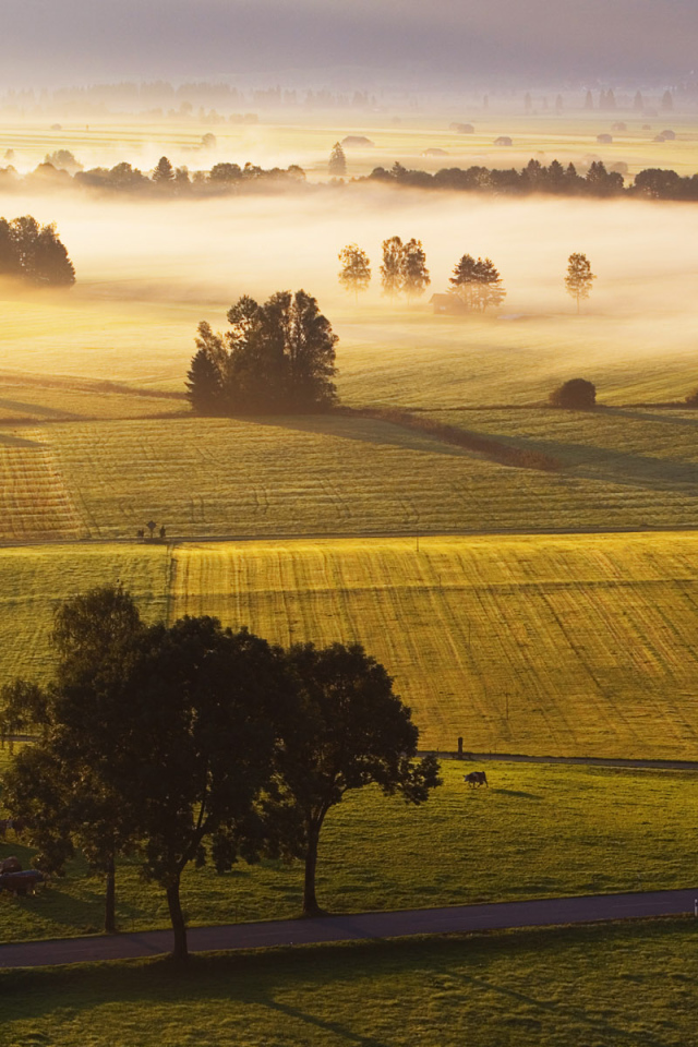 Поля в Германии