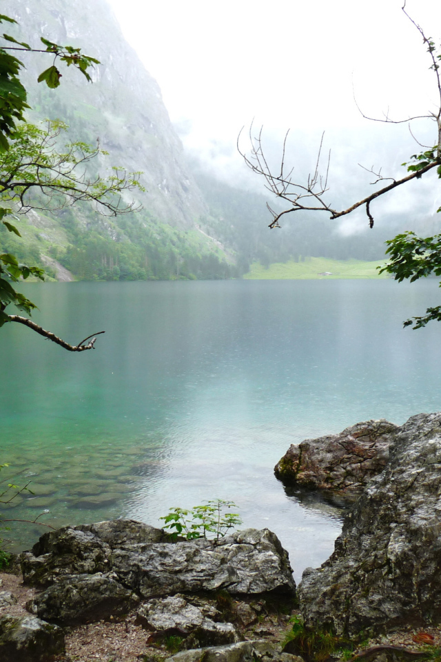 Природа Баварии