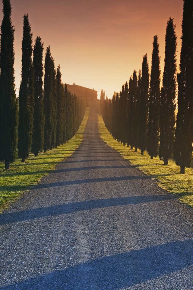 Дорога к Итальянскому поместью