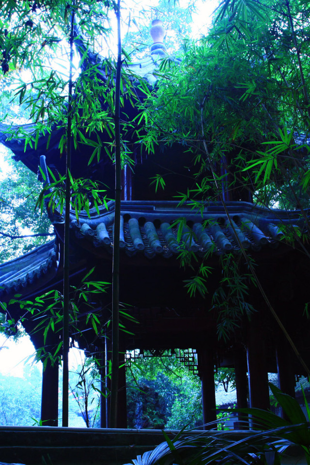 В японском саду