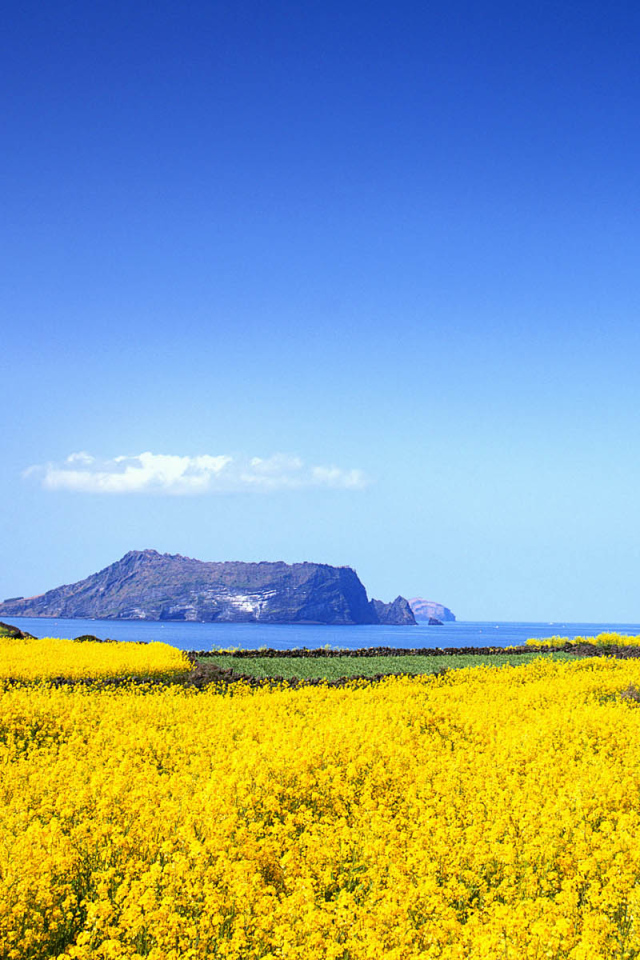 Дом в Корее