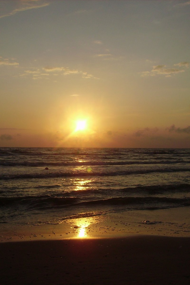 Паланга Балтийское море