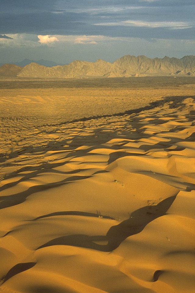 Мексиканская пустыня