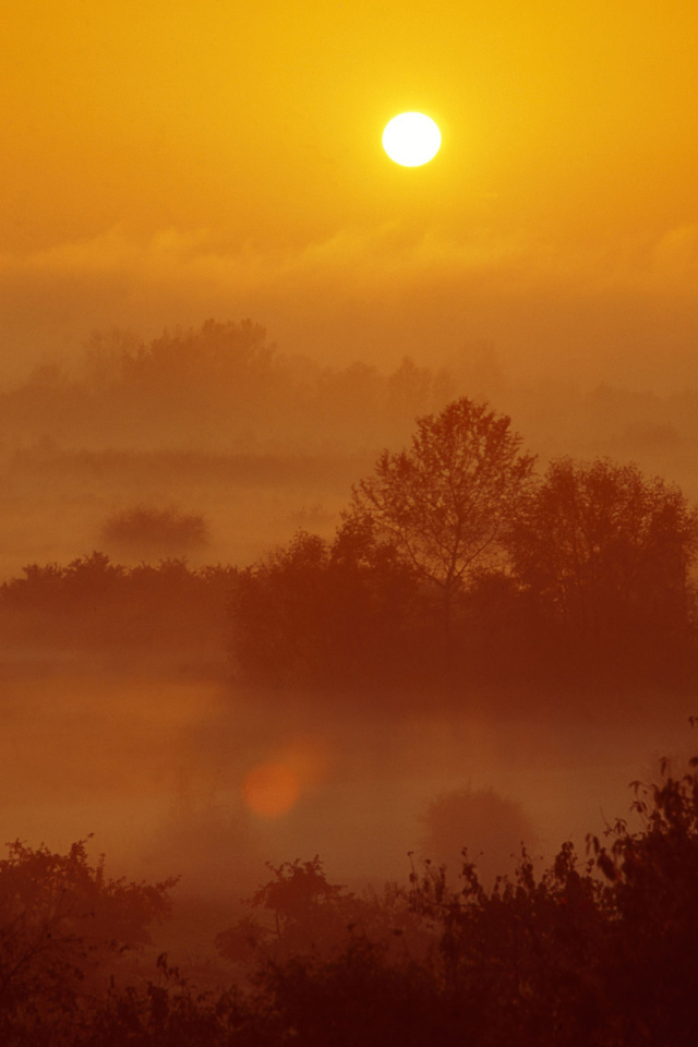 Туман на закате