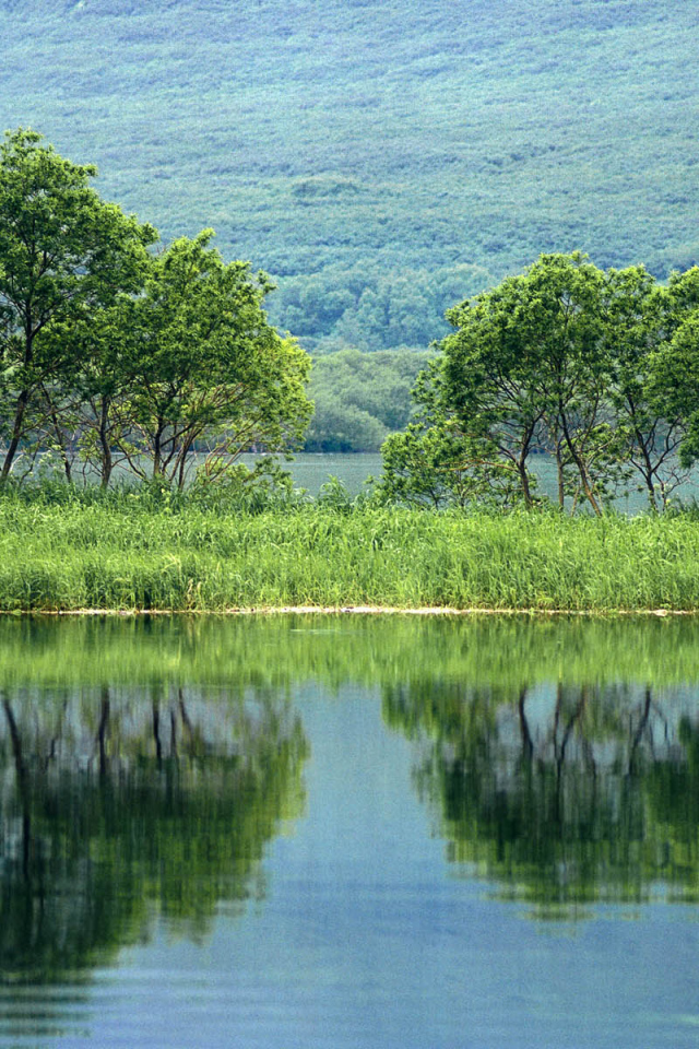 Природа России