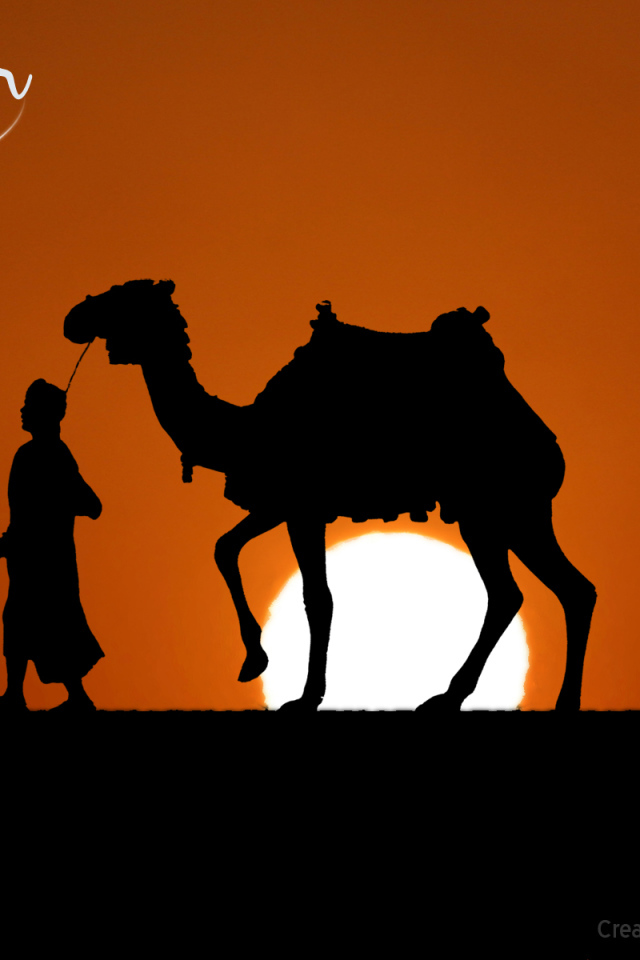 Путешественник