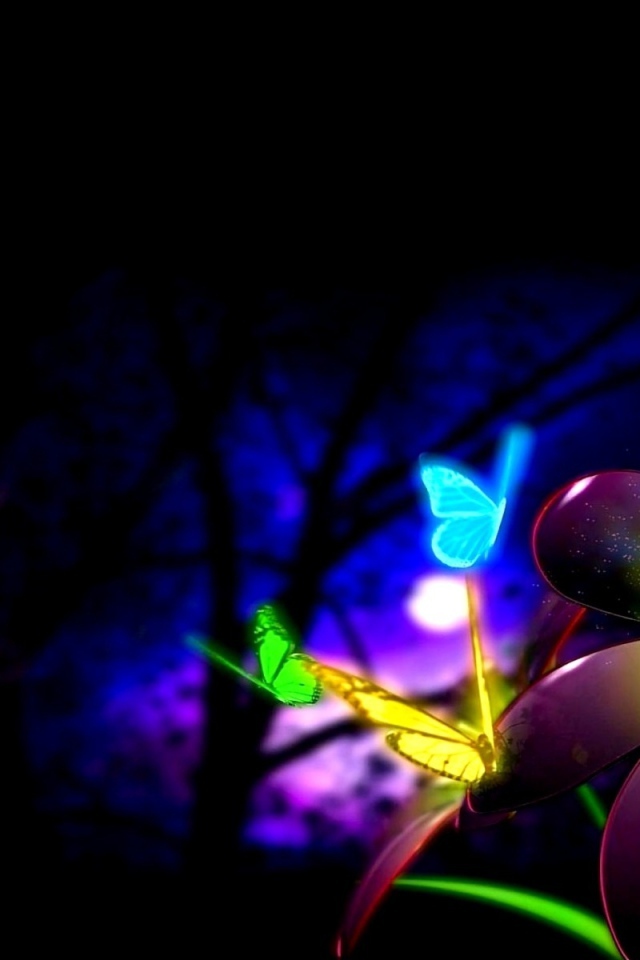 Цветок и бабочки в ночи
