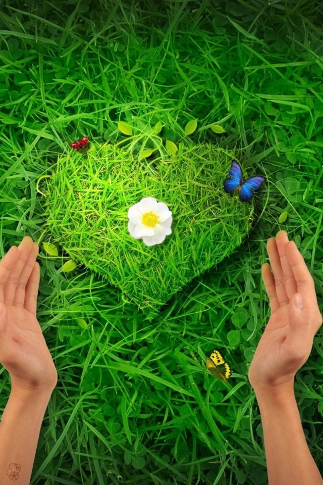 Травяное сердце