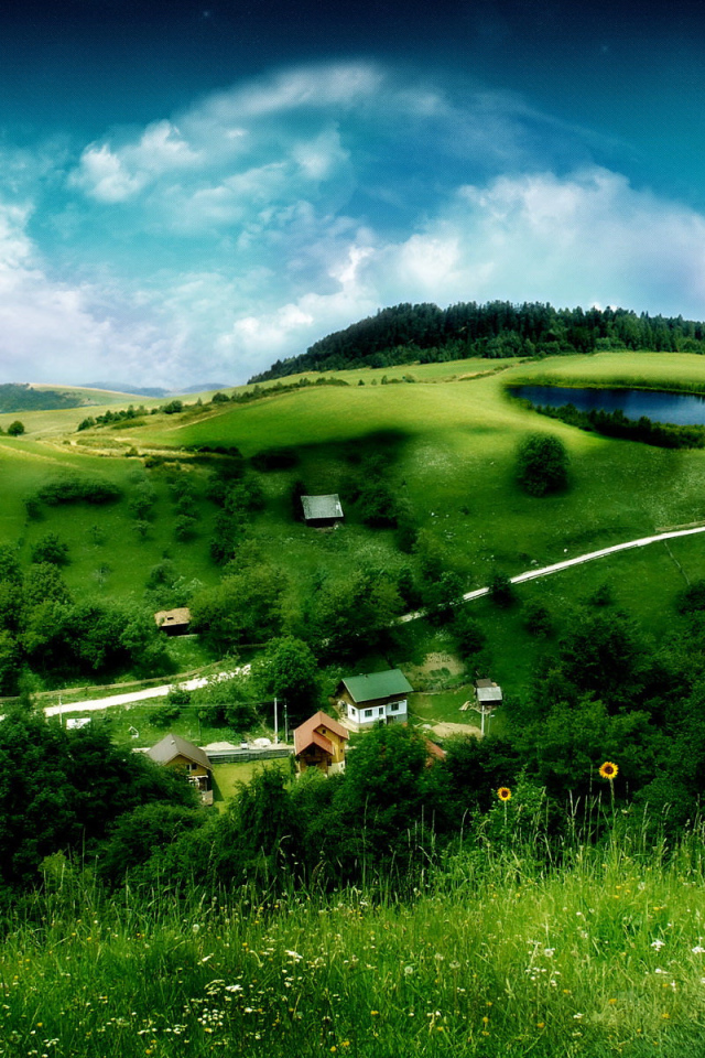 Лето в деревне