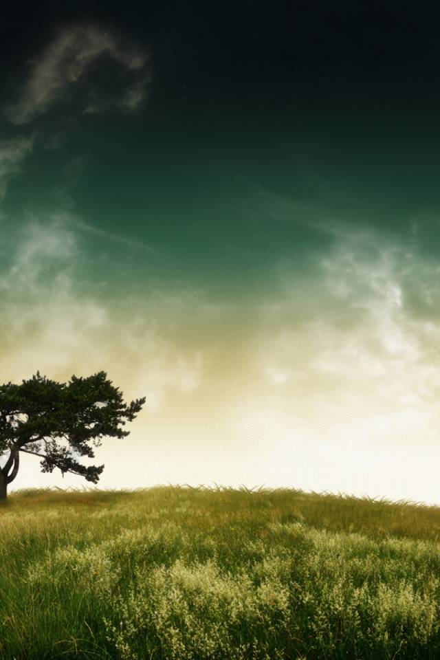 Дерево, небо, планета