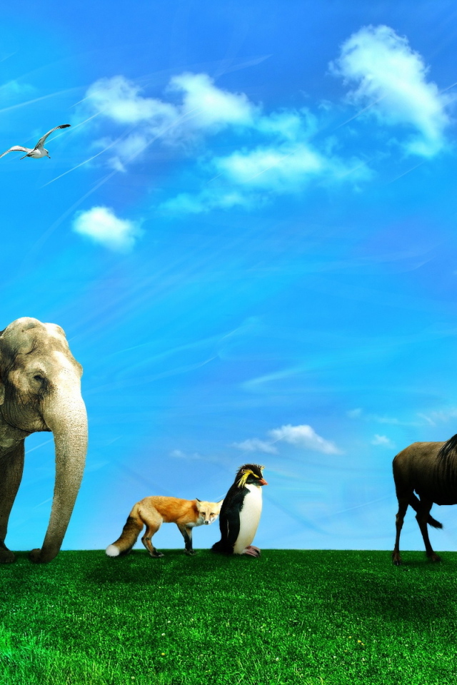 Дикие животные