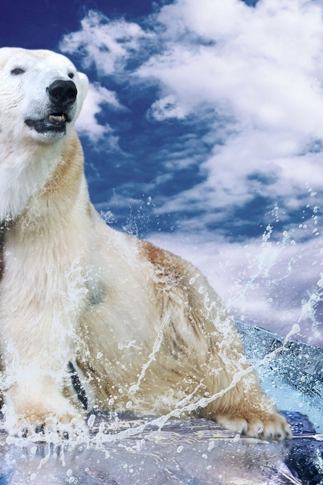 Белый медведь на льду