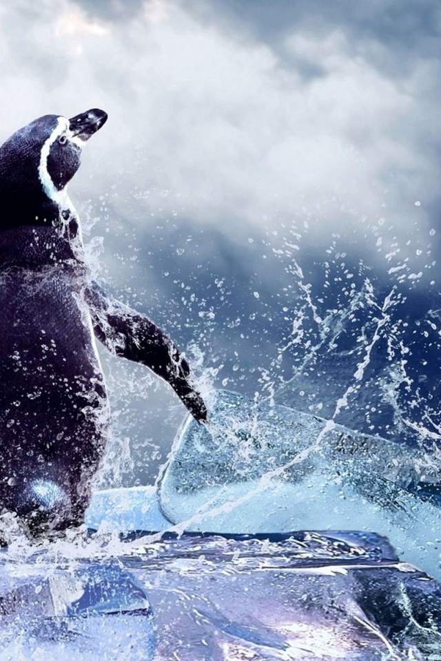 Два пингвина