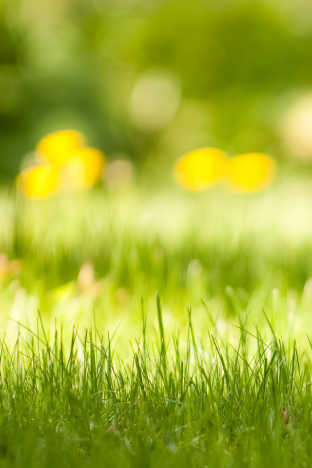 Спрятался в траве