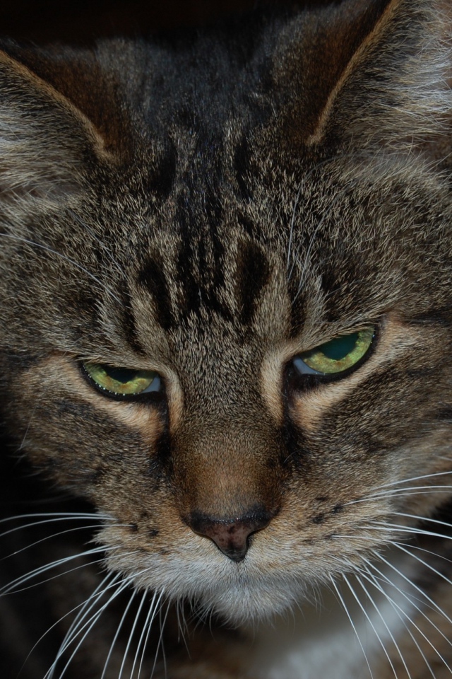 Весна сводит меня с ума