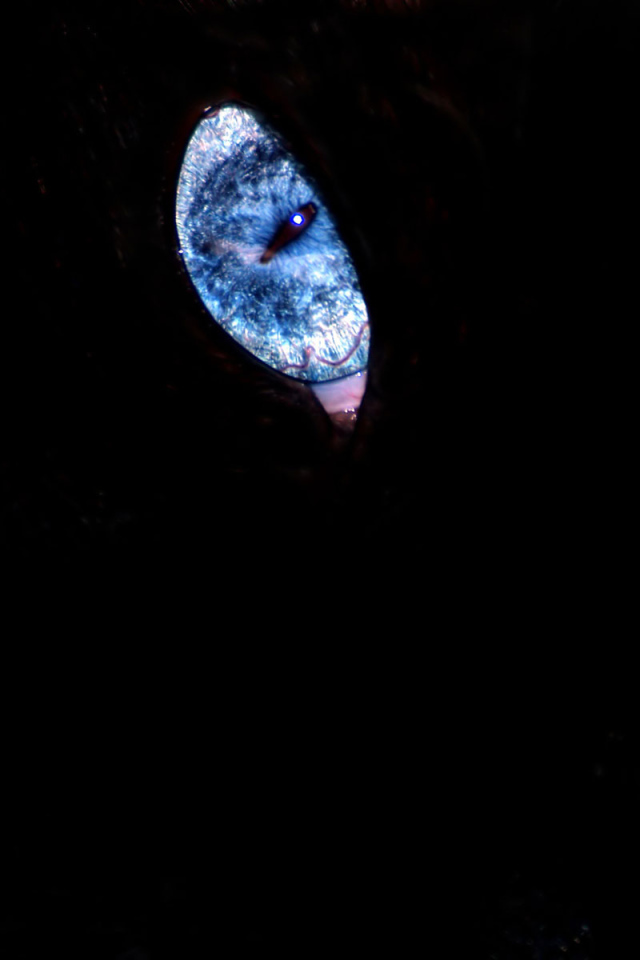 Эти глаза напротив