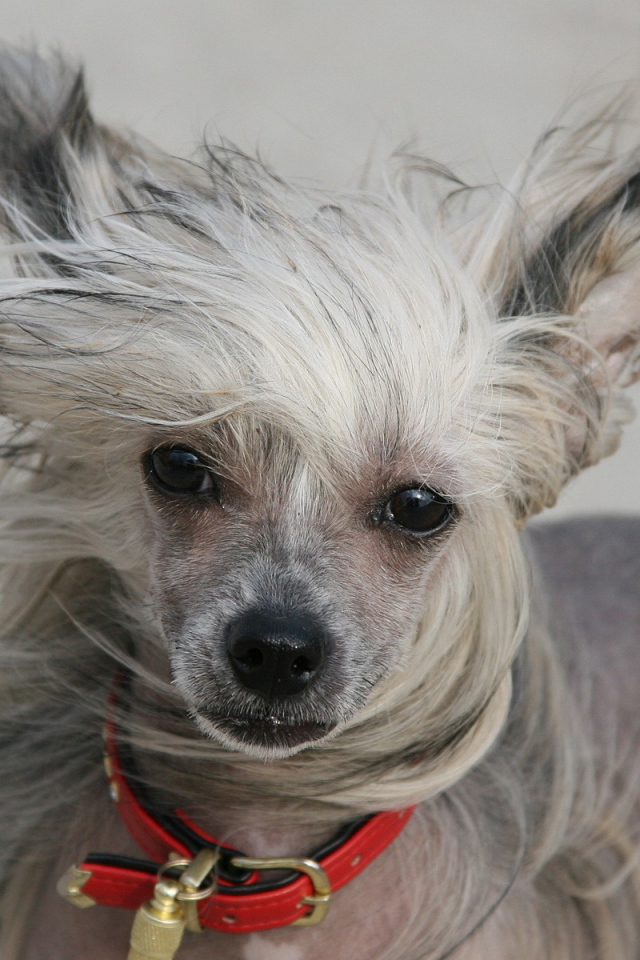 Добрый взгляд