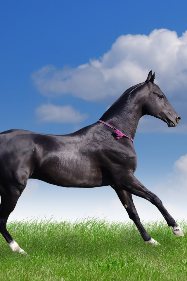 Грациозная лошадь