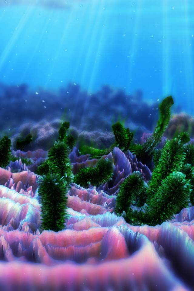 Жители морского дна