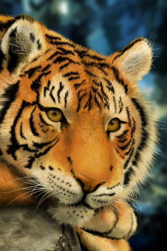 Взгляд тигра