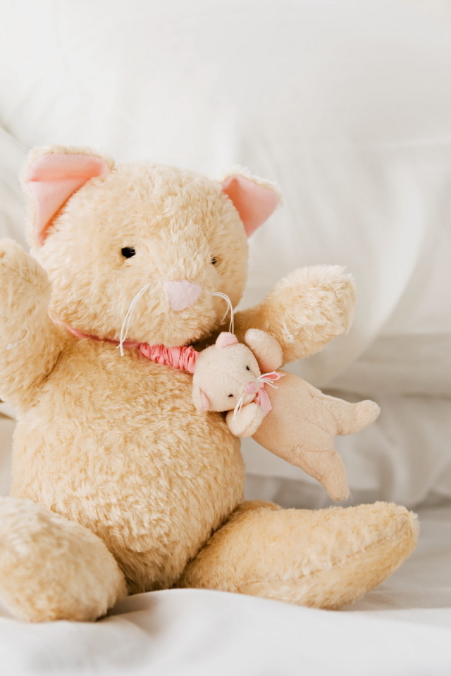 Плюшевые кошка и мышка