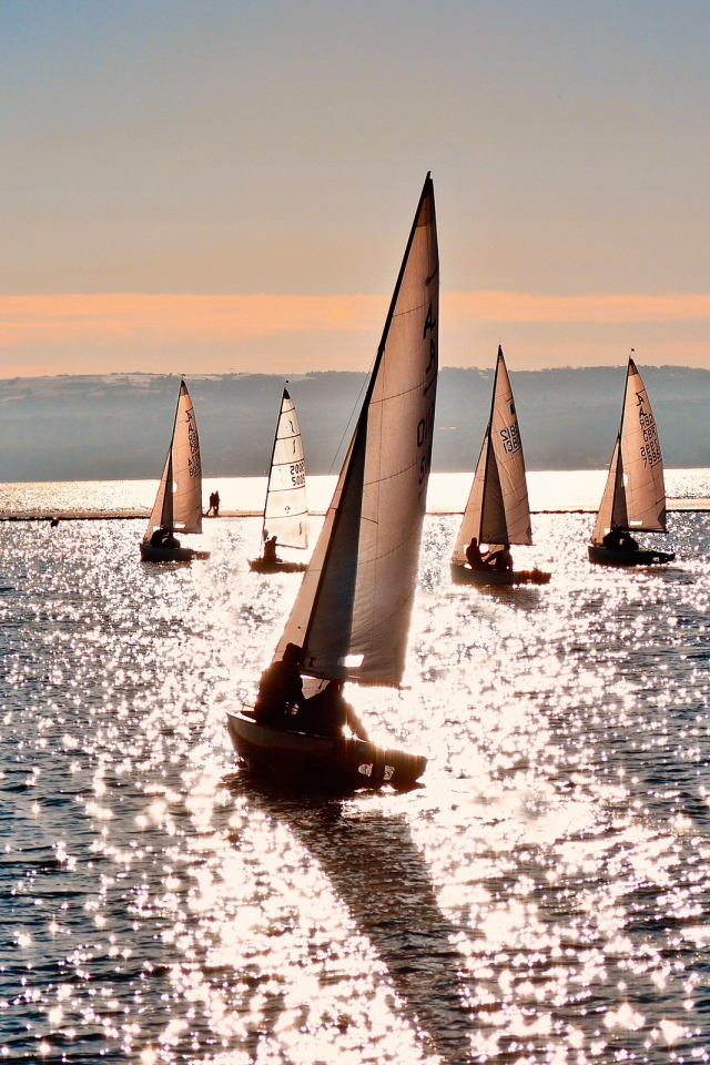 Парусники в море