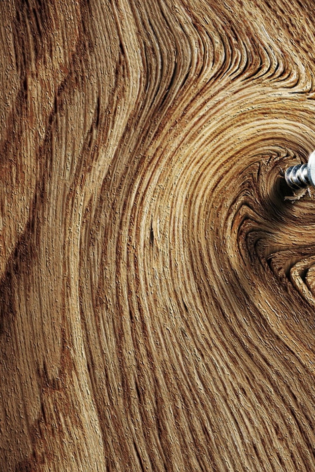 Саморез в доске