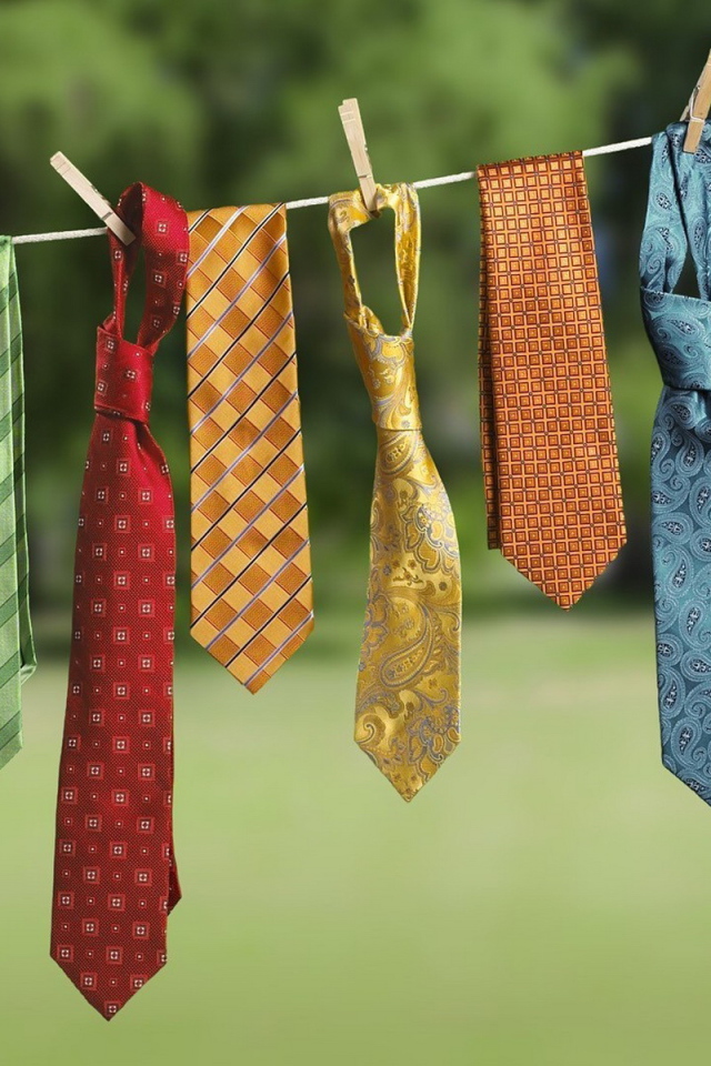 Галстуки на просушке