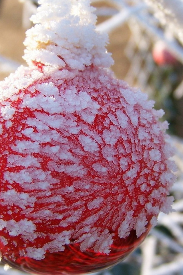 Оледеневший шар