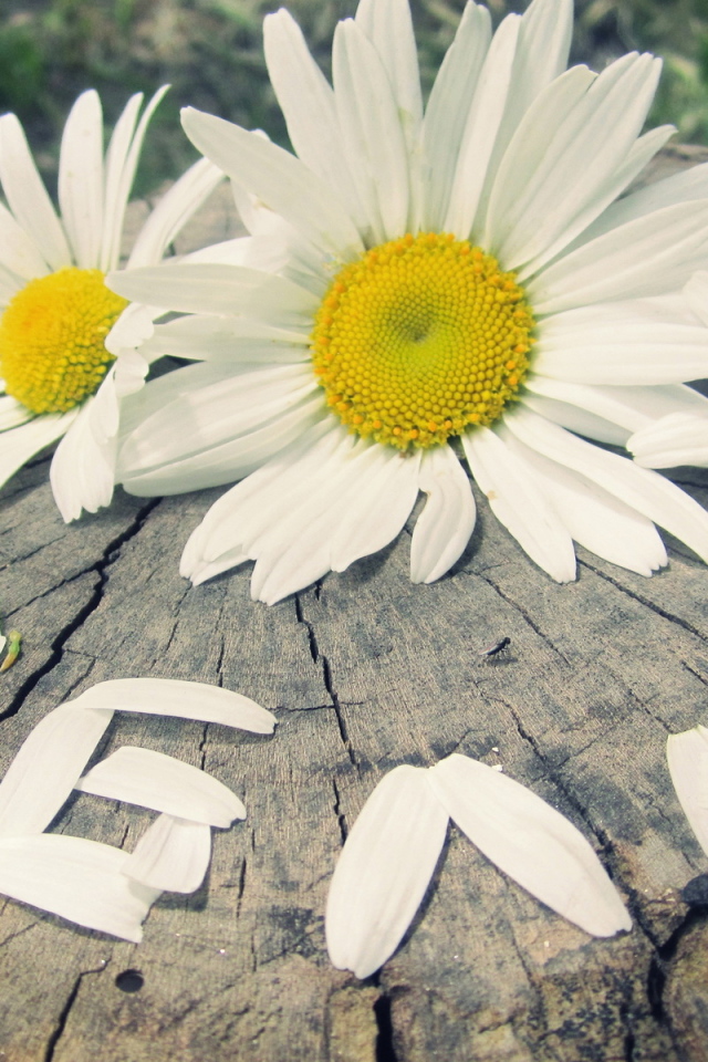 надпись Люблю