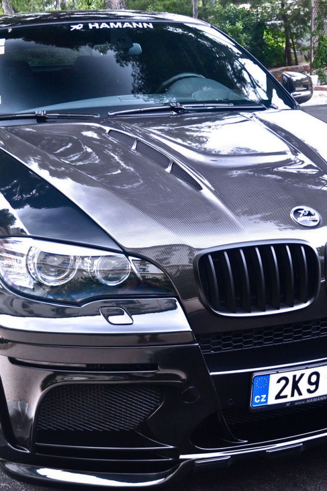 BMW X6 Hamann