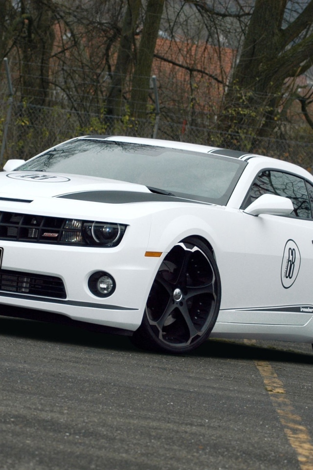 белый Chevrolet-Camaro