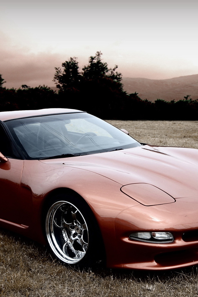 Chevrolet-Corvette-C5