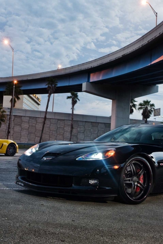 Chevrolet Corvette Z06 под мостом