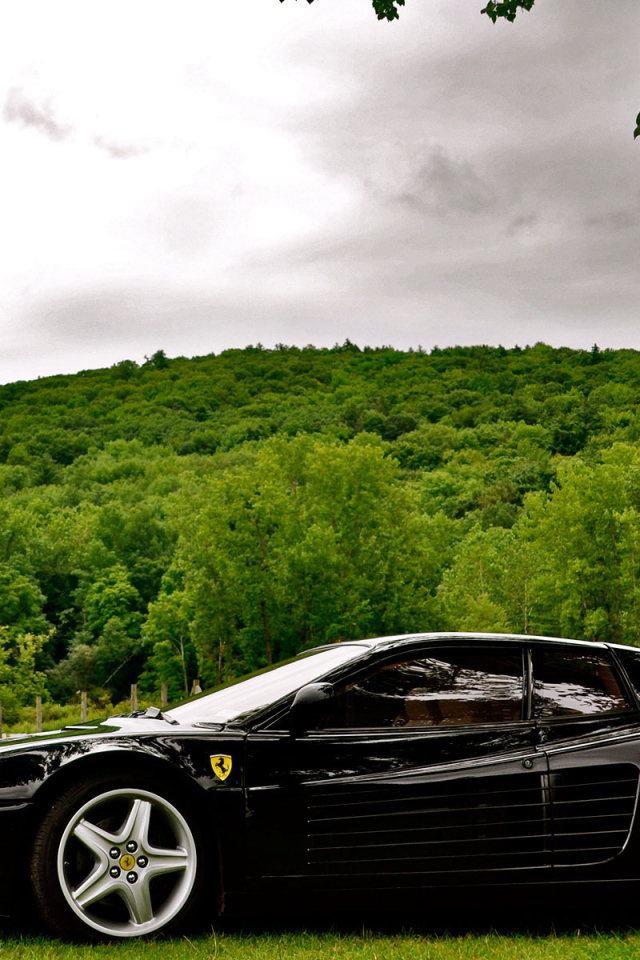 Ferrari черный