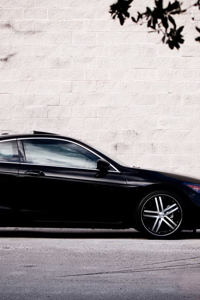 Honda Accord Black