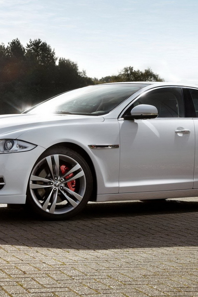 Jaguar-XJ Sport на солнце