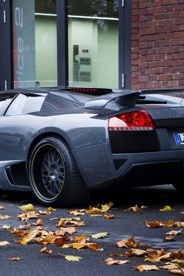 Lamborghini Murcielago вид сзади