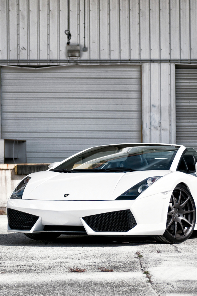white Lamborghini Gallardo