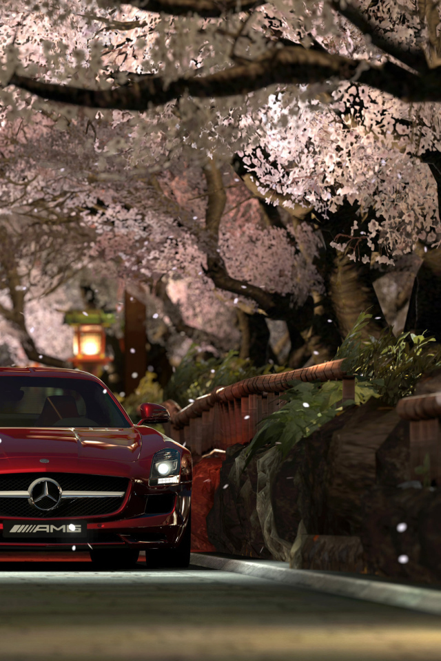 В цвету деревьев