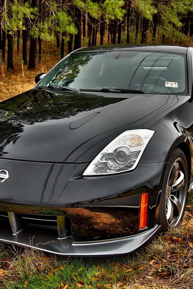Nissan 350Z на обочине