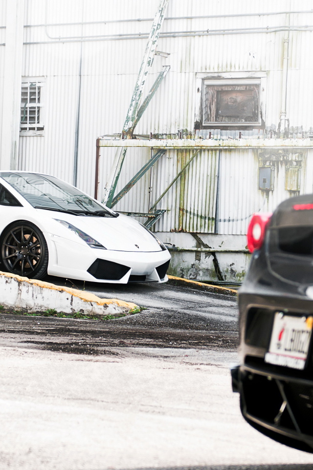 Lamborghini Gallardo and Ferrari