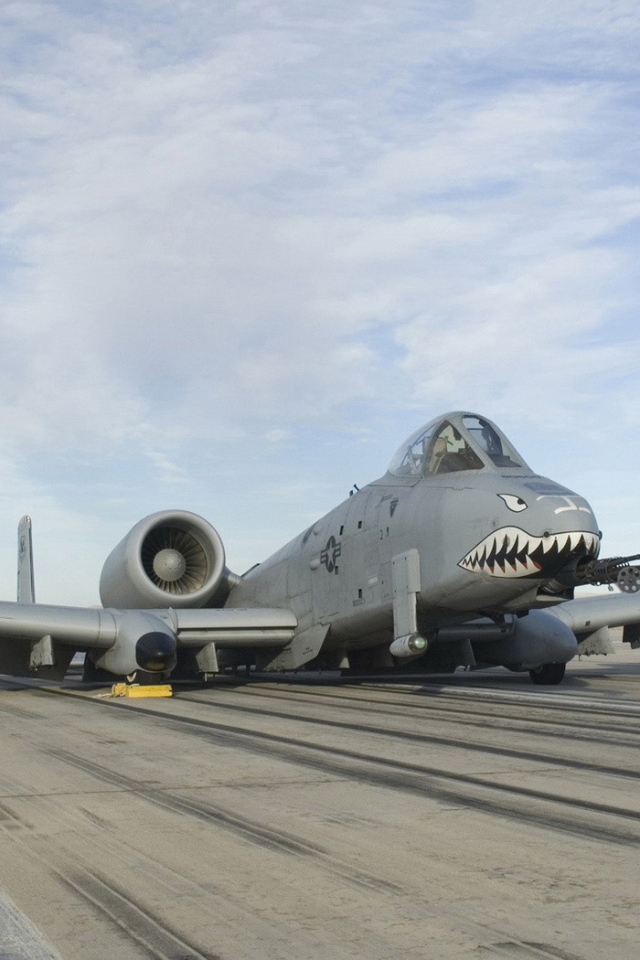 Штурмовик А 10