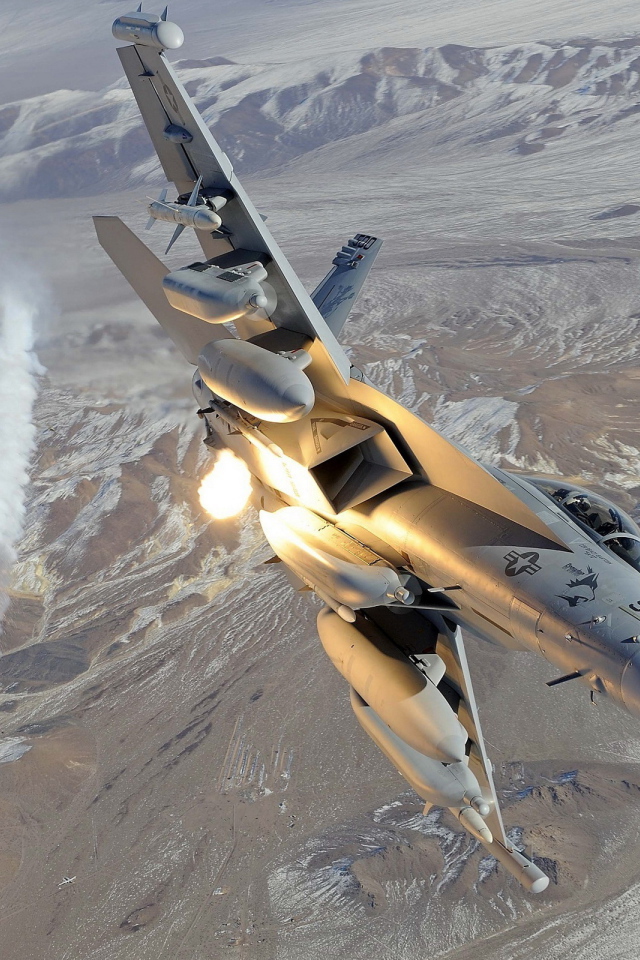 F-18 Hornet