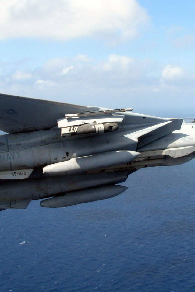 Grumman F-14 Tomcat
